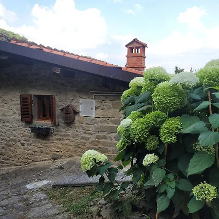Tatil Evi The Nest In The Stones